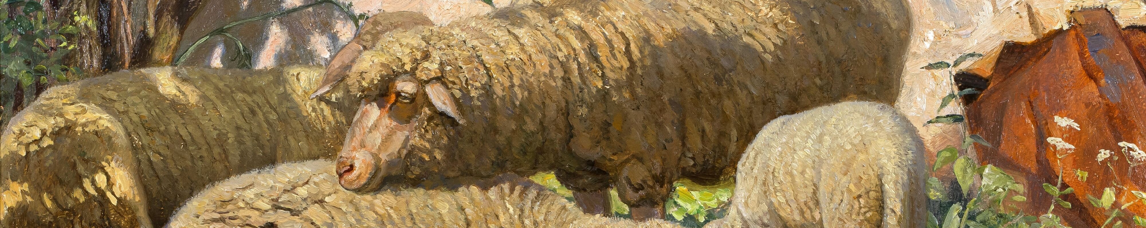  Header-Image