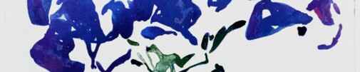  Header-Image