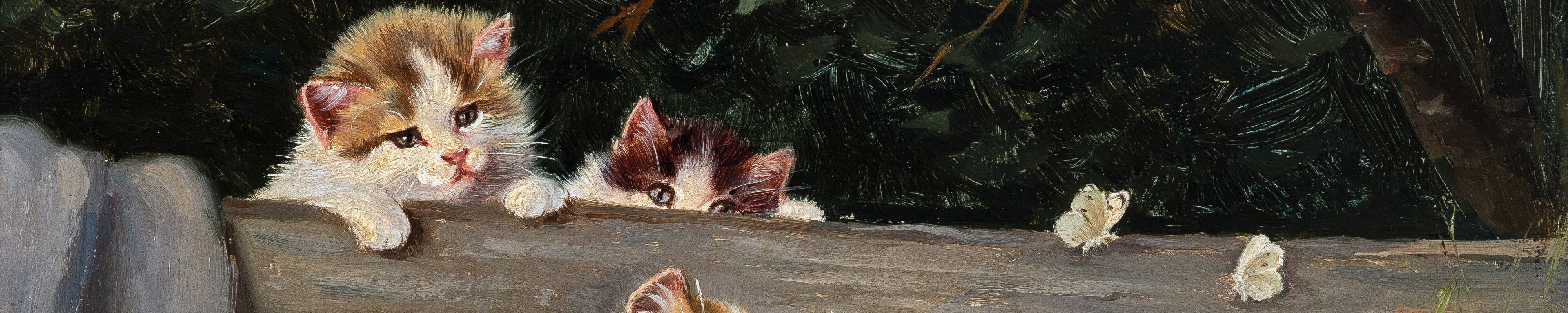 Header-Image
